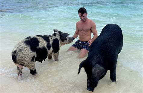 How To Visit The Swimming Pigs Of Bahamasaround The World With Justin