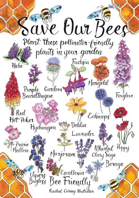 Bee Friendly Save Our Bees Planting For Pollinators Poster A3 Etsy Uk