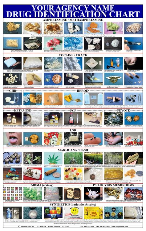 Personalized Drug Identification Wall Chart