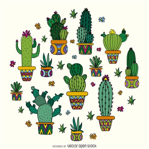 Cactus Drawing Design Free Vector Cactus Drawing Cactus Art Cactus