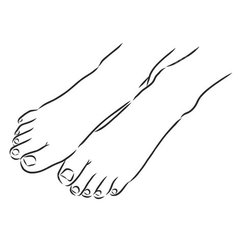 Vector Sketch Of A Barefoot Woman With Exposed Feet Vector Skin Male