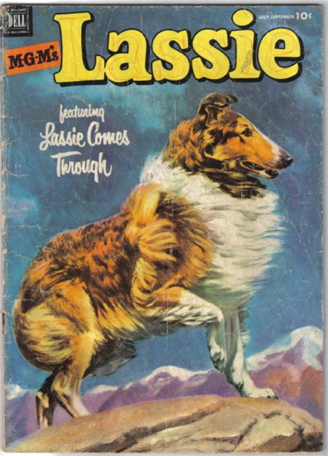 The Amazing Story Behind The Dog That Inspired Lassie Baxterboo