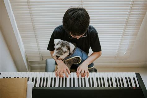 10 Incredibly Talented Animals Playing The Piano