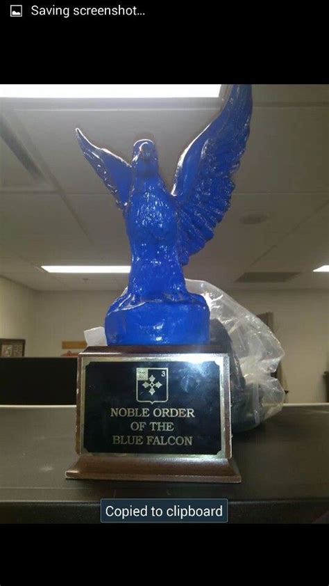 Blue falcon award is awarded to only a select few men in military service. Blue Falcon! | Novelty lamp, Lamp, Freedom fighters