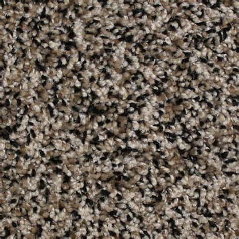 Plush is a popular carpeting for formal areas. Looptex Mills Invincible Frieze Carpet 12 ft wide at ...