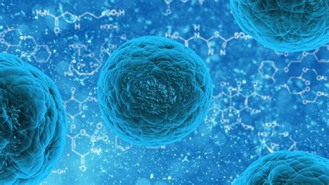 Nanotechnology Saving Regenerative Medicine? - BIOL312 @UNBC 