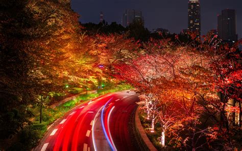 Download Wallpapers Tokyo 4k Autumn Roads Traffic Lights Japan