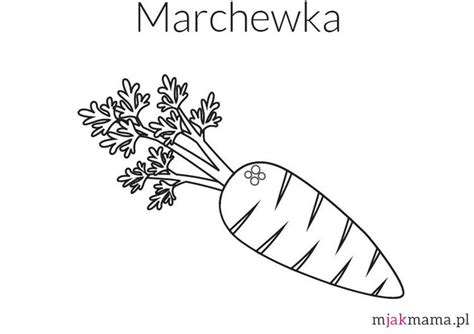 Poniżej przedstawiam parę ciekawych kart pracy dla nazywam się angelika. Marchewka - kolorowanka do druku, pobierz dla dzieci marchewkę do kolorowania - Mjakmama.pl