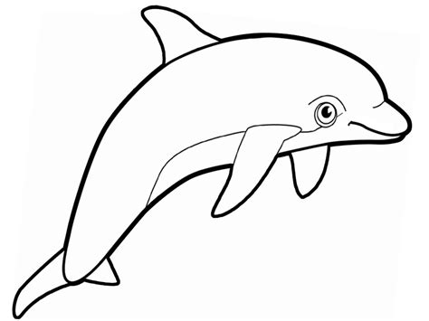 Imagenes De Delfines Para Dibujar Delfines Para Colorear