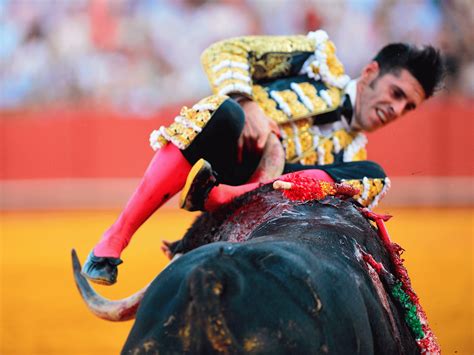 Matador Seriously Hurt After Stabbing Bull In Vicious Fight The