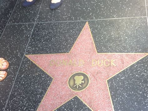Donald Duck | Hollywood walk of fame star, Walk of fame, Hollywood walk of fame