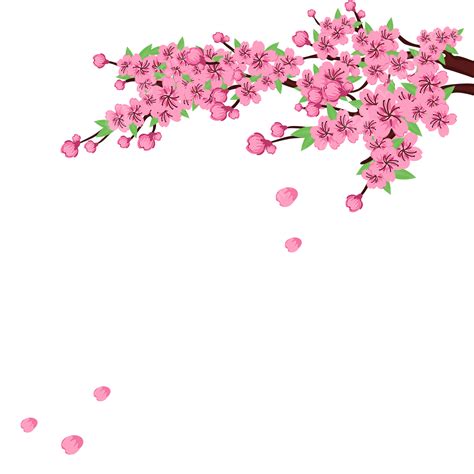 베트남 봄 축제 복숭아 꽃 일러스트 장식 테두리 복숭아 꽃 틀 레이스 Png 일러스트 및 Psd 이미지 무료 다운로드