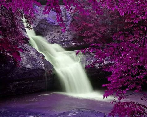 Beautiful Purple Waterfall Also Check Out Earnmoneyperlisting