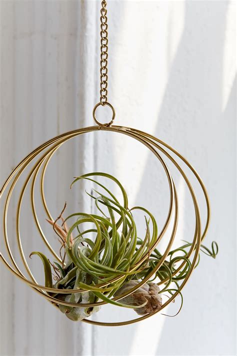 Caged Metal Hanging Air Plant Holder Hanging Air Plants Air Plant