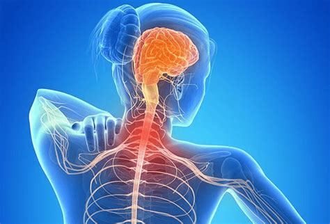 What Is Cervical Radiculopathy Respire Physical Therapy