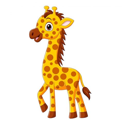 Cute Baby Giraffe Cartoon Isolated On White Premium Vector