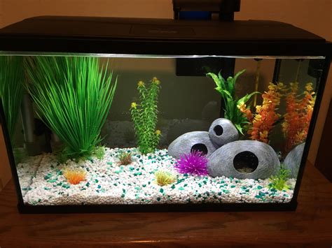 How To Set Up My Fish Tank