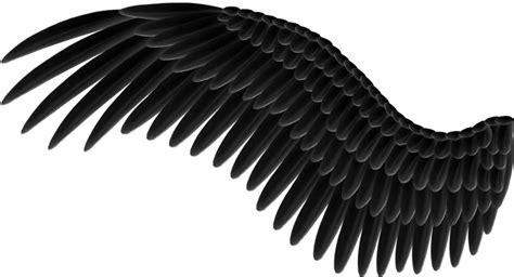 Wings Png Transparent Image Download Size 900x487px