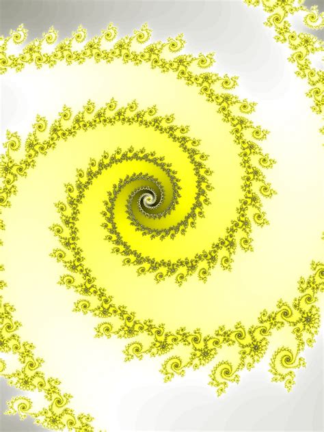 Fractal Spiral Free Stock Photo Public Domain Pictures