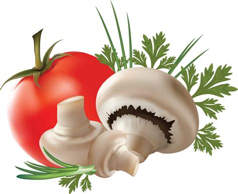 Mushroom clipart mushroom vegetable, Mushroom mushroom vegetable Transparent FREE for download ...
