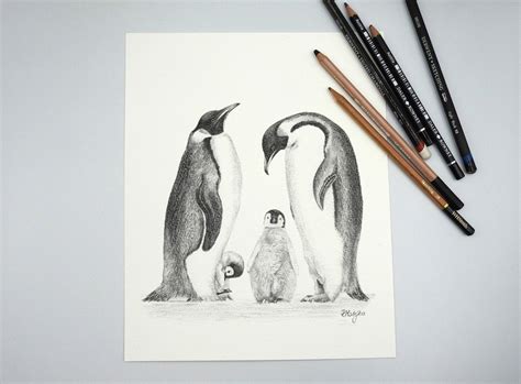 Original Penguins Pencil Drawing Penguin Seabird Wall Art Etsy