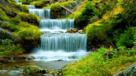Water Cascades In Green Forest Hd Wallpaper Background Image