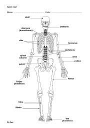 12.04.2019 · language of anatomy worksheet. English teaching worksheets: Bones | Worksheets ...