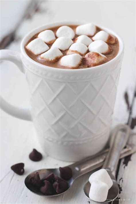 Homemade Hot Chocolate Mix Love Grows Wild