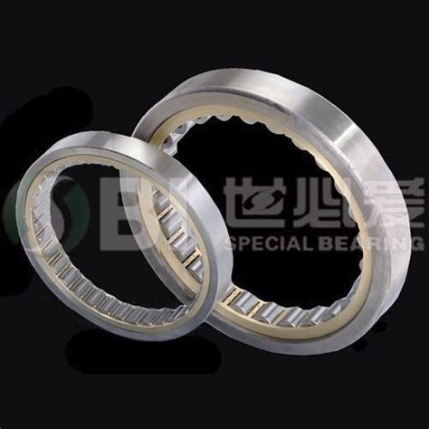 Cuscinetto A Sfere N Series Luoyang SBI Special Bearing A Rulli