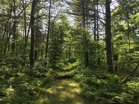 Pictures From Quabbin Gate 3a Myhikes