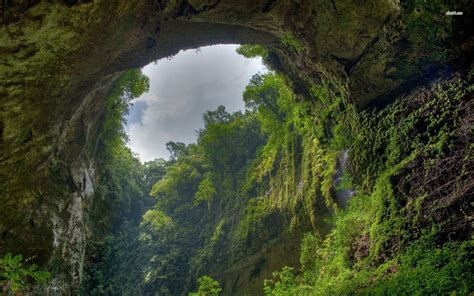 Images For Jungle Cave Entrance National Parks Nature Quang Binh
