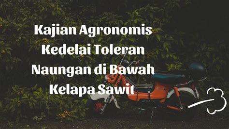 Kajian Agronomis Kedelai Toleran Naungan Di Bawah Kelapa Sawit Info