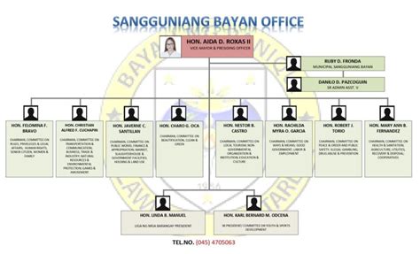 Lgu Paniqui Office Organizational Chart Municipality Of Paniqui Tarlac
