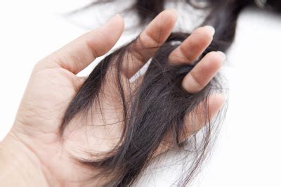 Although many people conflate thickness and density, they're entirely different measurements that together determine your hair type: I'm losing a lot of hair - Help! | The Momiverse
