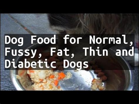 Canine diabetes can affect your dog for a number of reasons. Recipe Dog Food for Normal, Fussy, Fat, Thin and Diabetic ...