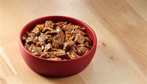 Should i feed my cat dry, wet or raw food? Should I Feed My Dog Wet Dog Food? - Purina®
