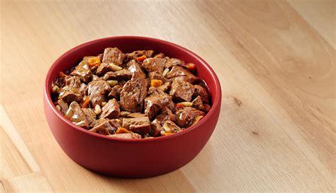 Bella natural bites with added vitamins and minerals offers two varieties of dog food with small size crunchy kibble and meaty shreds. Should I Feed My Dog Wet Dog Food? - Purina®