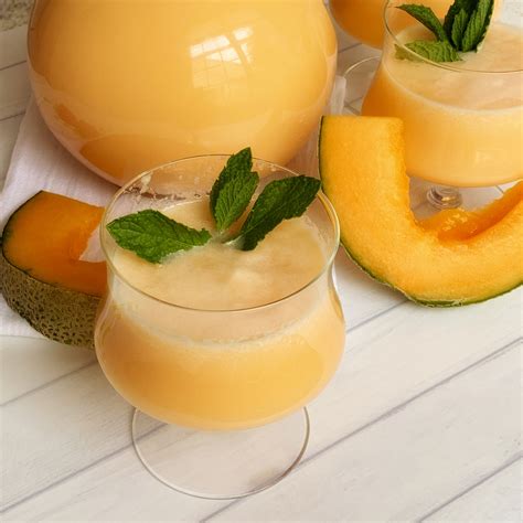 Cantaloupe Drink Recipe Twin Fruit