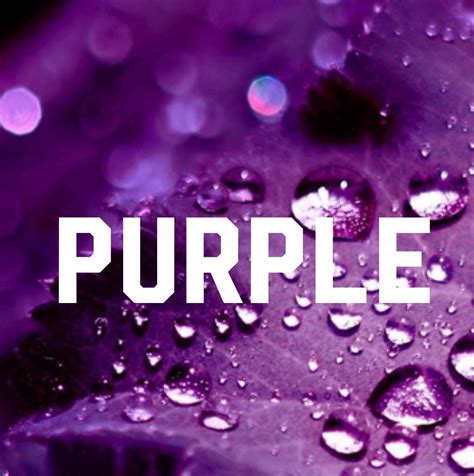 purple love all things purple purple color color me pinterest board favorite color passion
