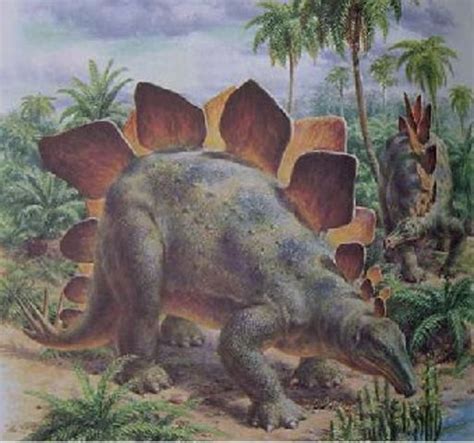 Snakes snakes are thought to have evolved from either. Jurassic Time Period timeline | Timetoast timelines
