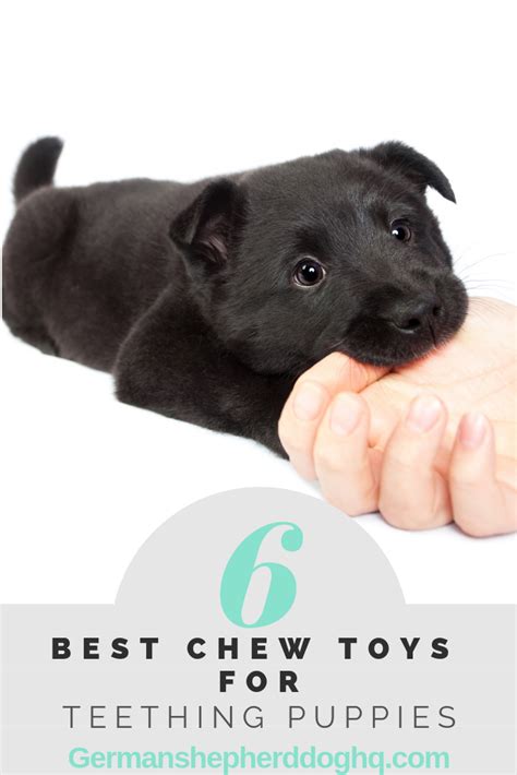Welcome to teeth week at the strategist. Teething Tips & Teething Relief For Puppies | Puppy ...