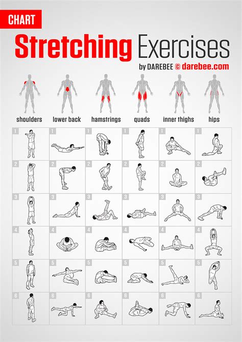 Stretching Exercises Chart By Darebee Gym Workout Chart