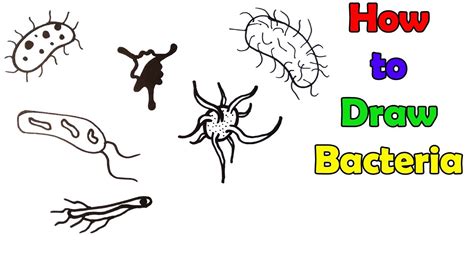 How To Draw Bacteria Very Easy For Kids Youtube
