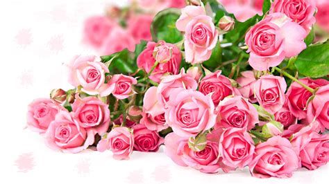 Beautiful tender gentle delicate flower background with small pink flowers. World's Top 100 Beautiful Flowers Images Wallpaper Photos ...