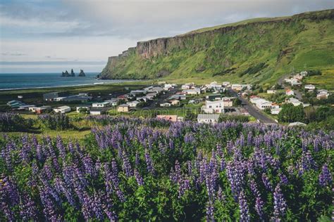 Beautiful Town Of Vik I Myrdal Iceland In Summer Stock Image Image Of