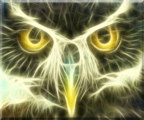 Fractal Owl Wallpaper Download To Your Mobile From Phoneky