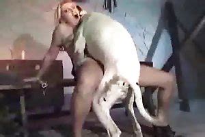 Perro Folla A Una Mujer Rubia Porno Bizarro Sexo Extremo Videos Xxx Brutales