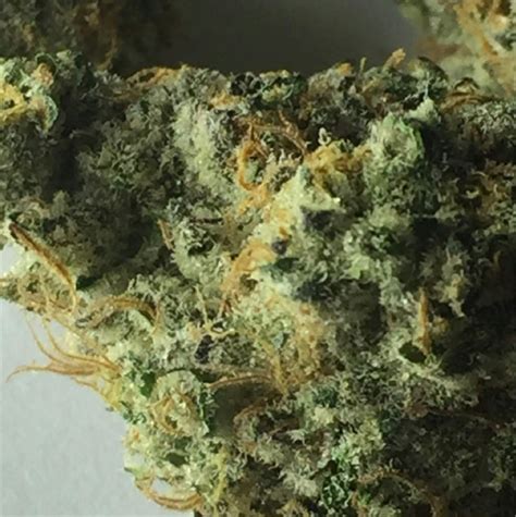 Pink Cookies Weed Strain Information Leafly