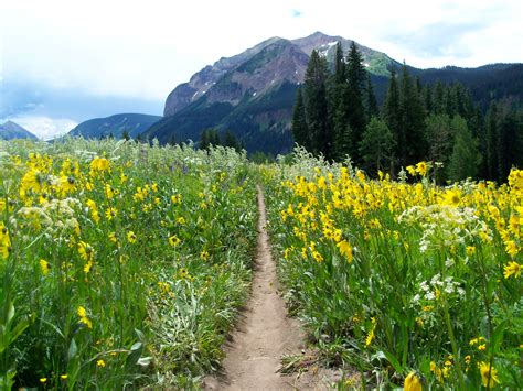 They are located along the upper loop trail, which skirts the crested butte. Riding One of the Nation's Best Mountain Bike Trails ...