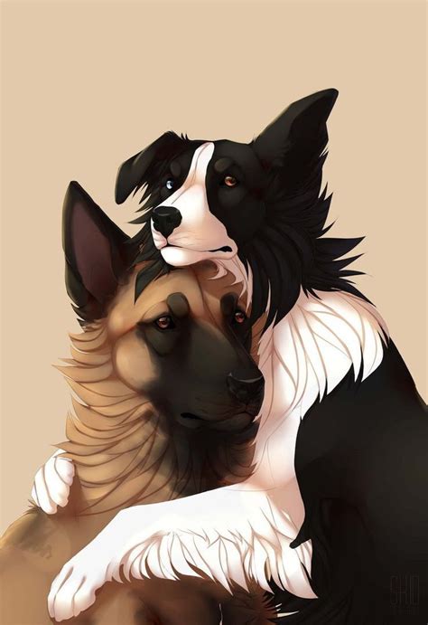 Most Current Cost Free Border Collies Fondo Suggestions In 2021 Cute